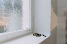 studio konrad