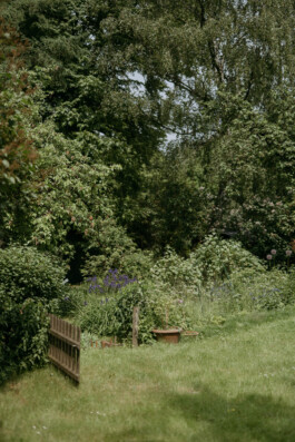 studio konrad